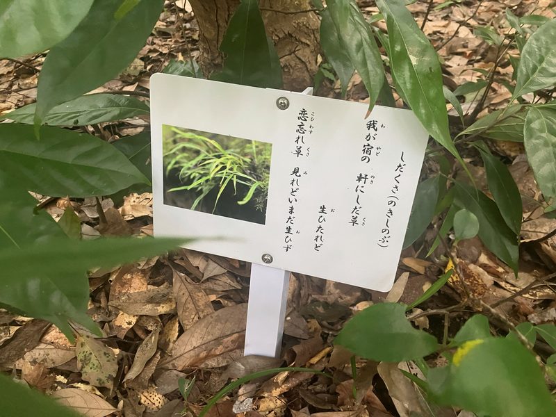 西緑地万葉の森にある万葉集の歌と植物の案内板