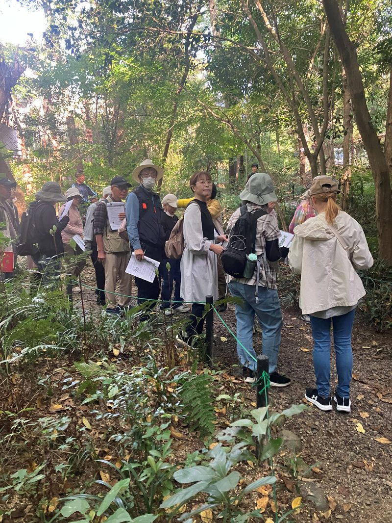 周南市西緑地の万葉の森散策会で植物を観察する参加者